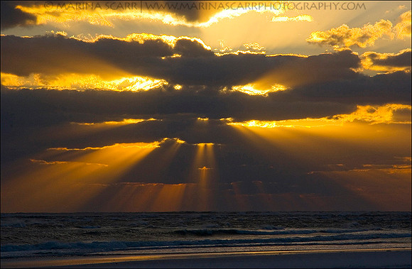 Sarasota Sunset