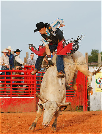 Bull Riding