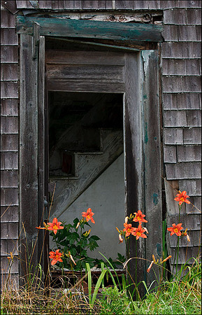 Through the Window