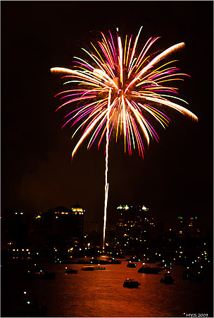 Fireworks - Sarasota, FL
