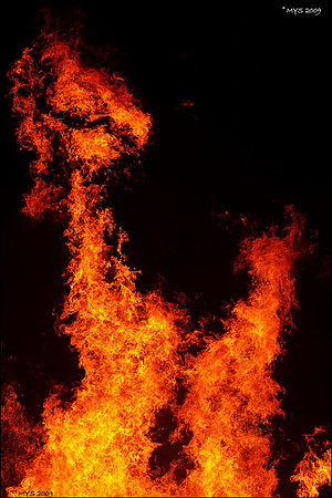 Dragon Fire