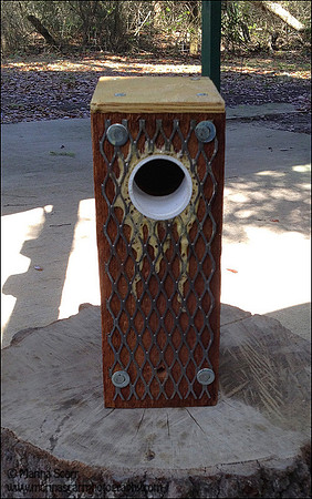 Red-cockaded WP Insert Nest Box