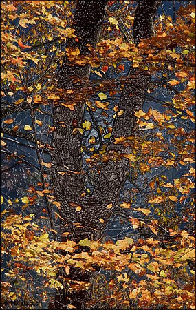 Fall Foliage - Plastic Wrap Effect