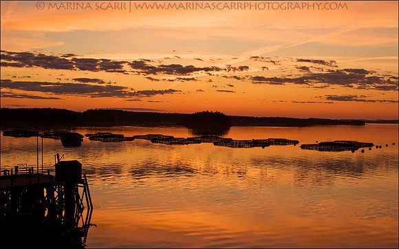 Salmon Fishery